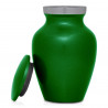 Paw Print Keepsake Urn - Shamrock Green