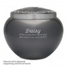 Small Odyssey Pet Urn - Gunmetal Gray