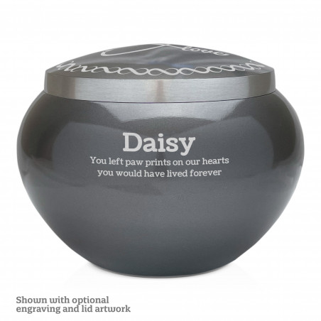 Large Odyssey Pet Urn - Gunmetal Gray