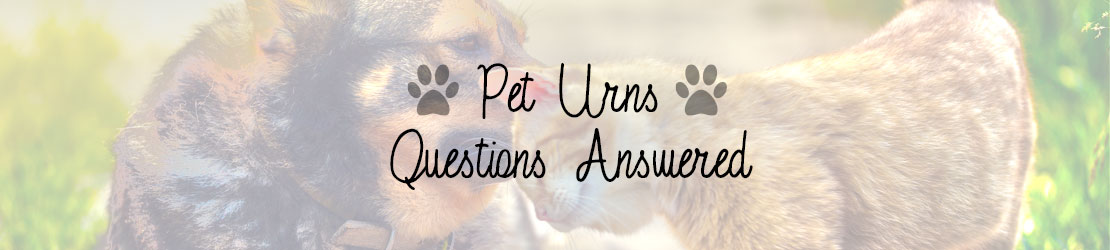 Pet Urns Questions Answered